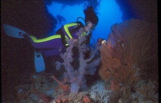 Ambiente Italia: Plastico=Geo Design in Scala: Caverna sottomarina: Sub in Caccia Subacquea